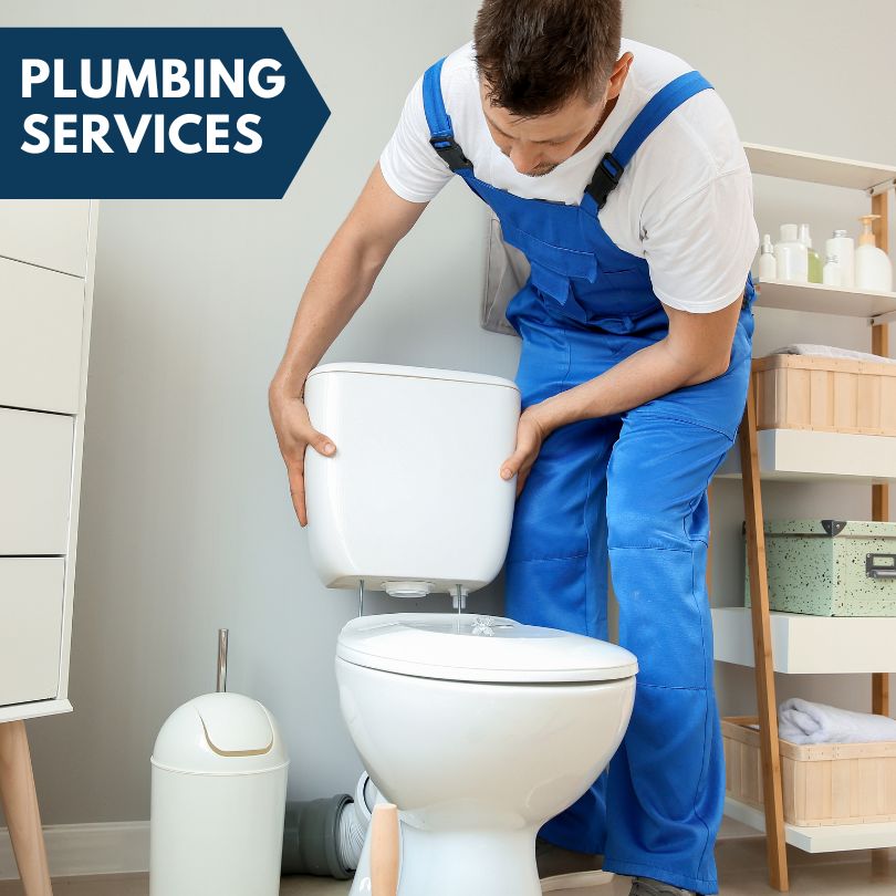 Plumbing Company in Larrabee, IA